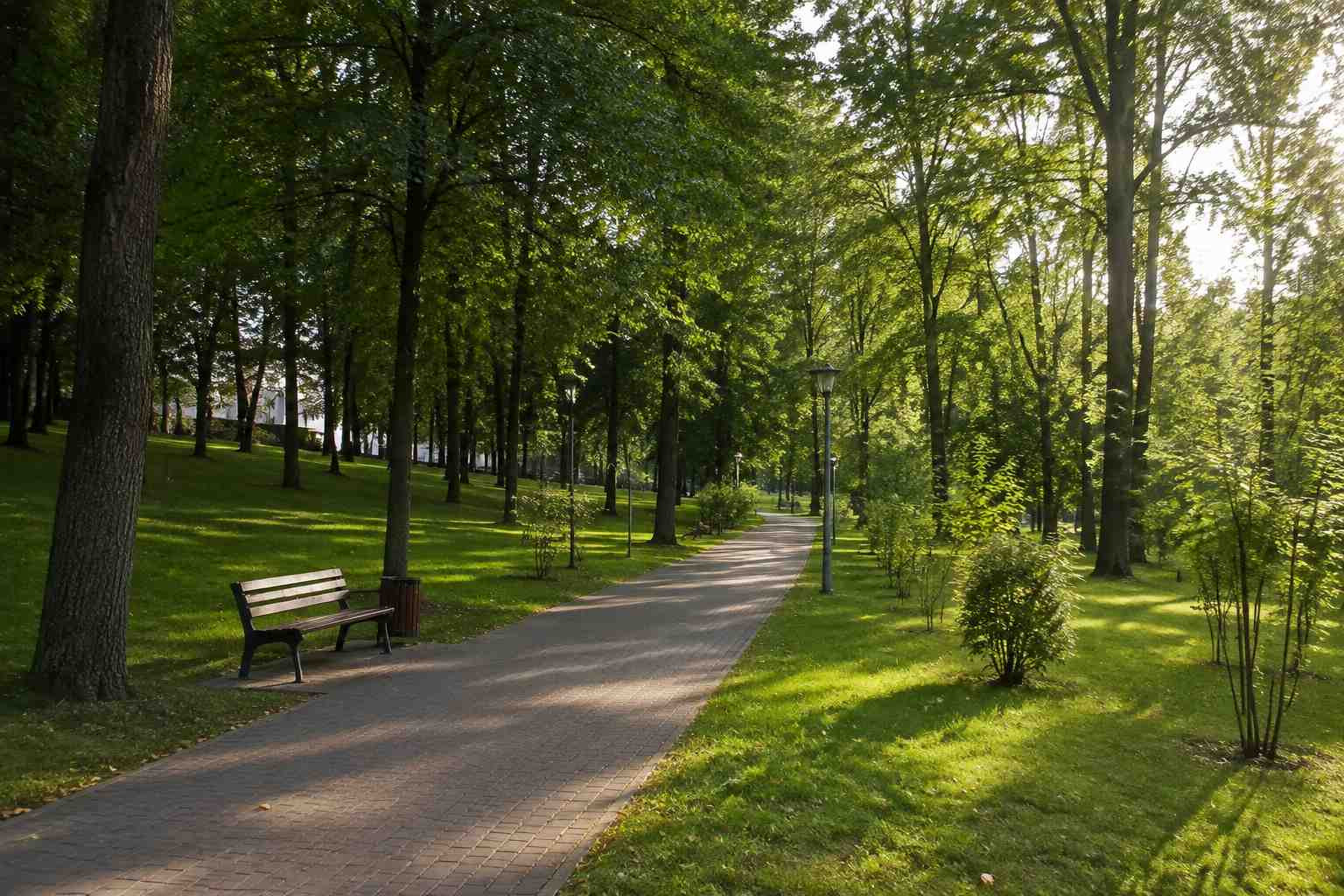 https://tyumen.blago-s.ru/storage/app/uploads/public/6a7/eef/ed2/6a7eefed2af22038960370.jpg