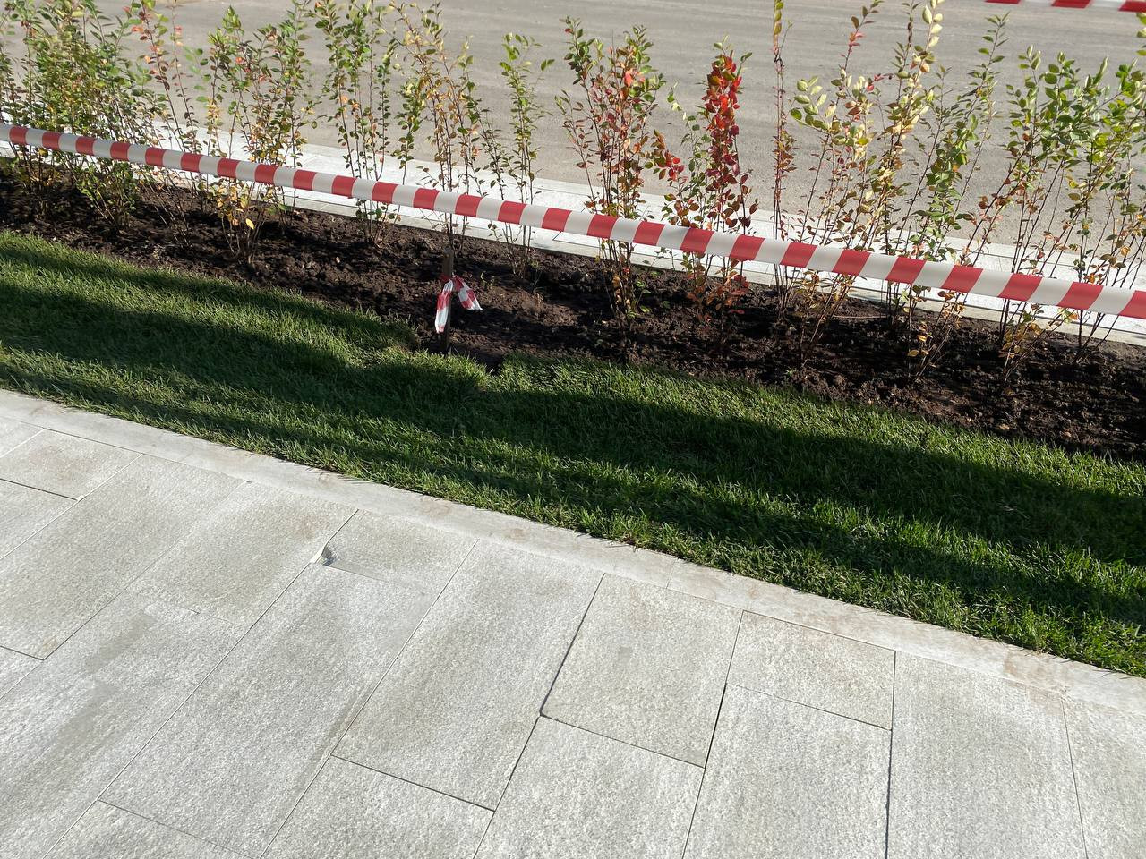 https://tyumen.blago-s.ru/storage/app/uploads/public/68b/fb1/6c6/68bfb16c6680d958739657.jpeg